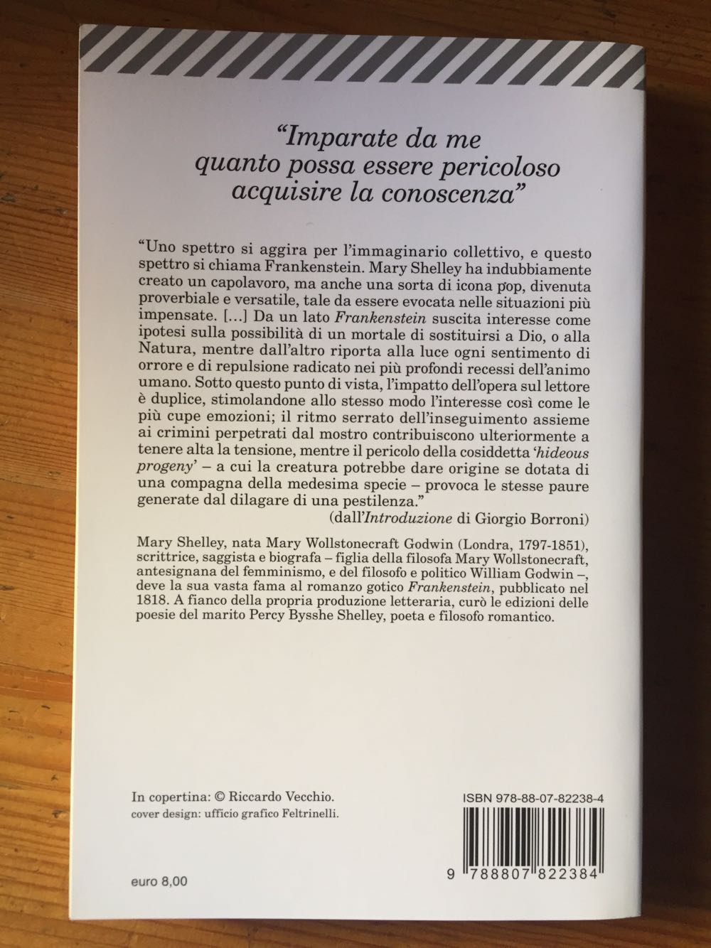 Frankenstein - Mary Shelley (Feltrinelli) book collectible [Barcode 9788807822384] - Main Image 2