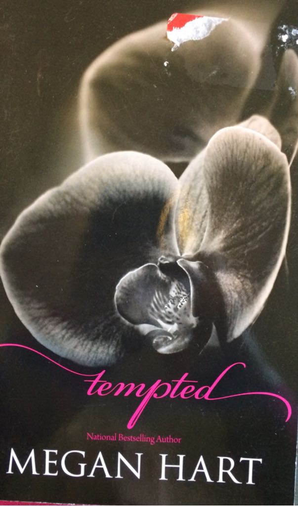 Dewey by Vicki Myron