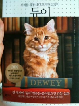 The Woman in the Dunes