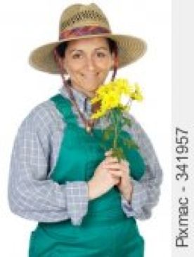 Wie durch ein dunkles Glas: Commissario Brunettis fÃ¼nfzehnter Fall -