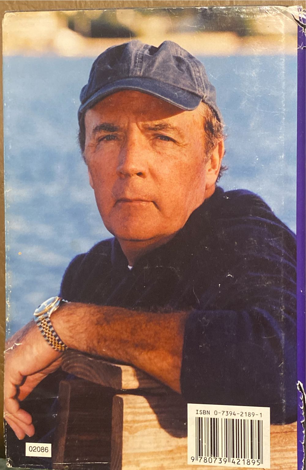 Violets Are Blue - James Patterson (- Hardcover) book collectible [Barcode 9780739421895] - Main Image 2