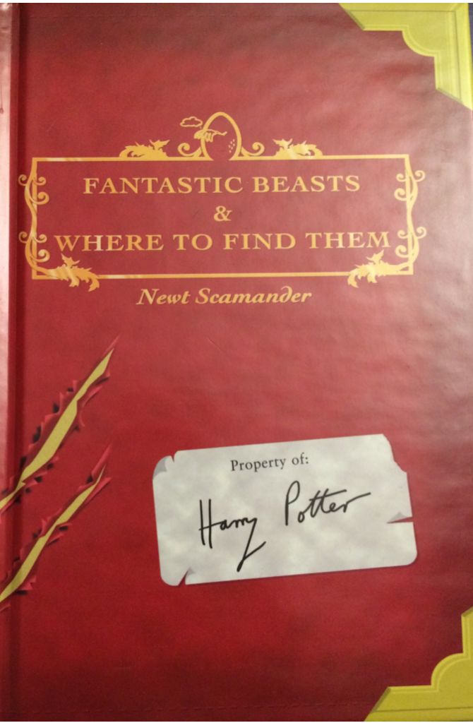 Life in a Medieval Castle