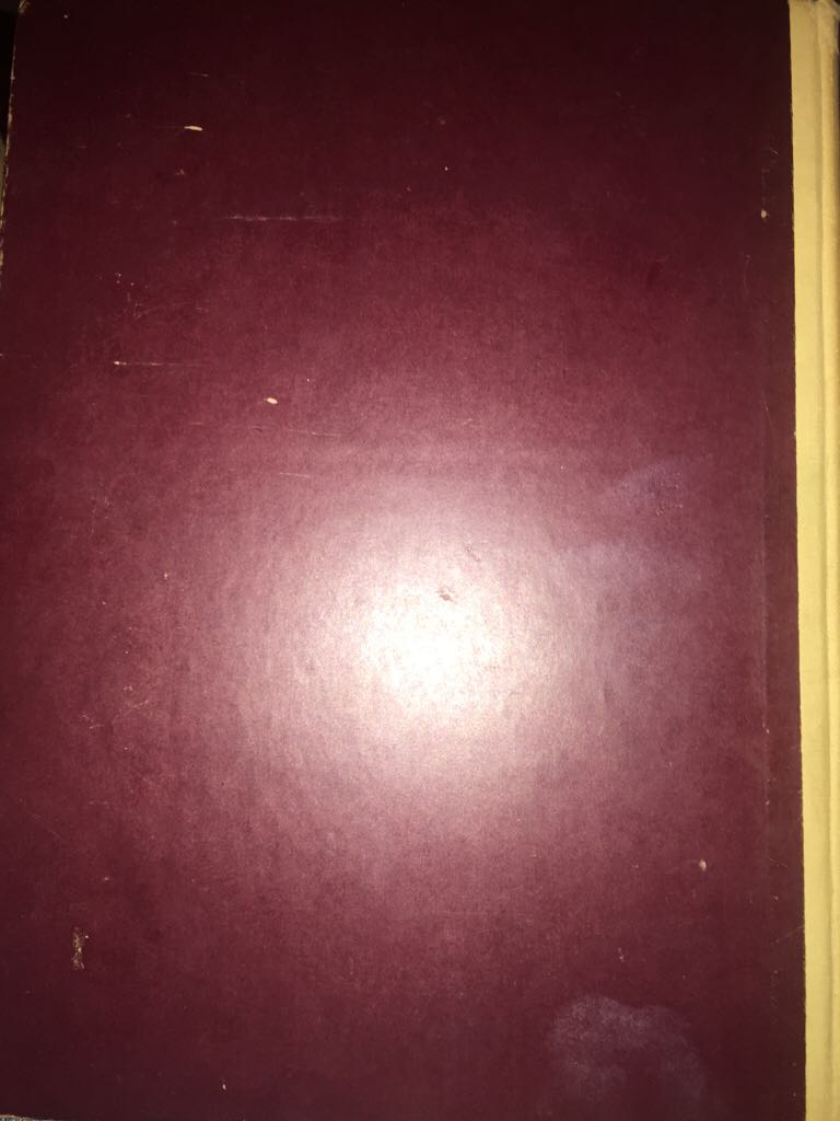 The Divine Comedy  (Pantheon Books - Hardcover) book collectible - Main Image 2