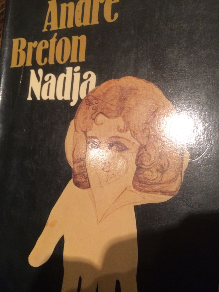 The Curious Incident of the Dog in the Night-Time