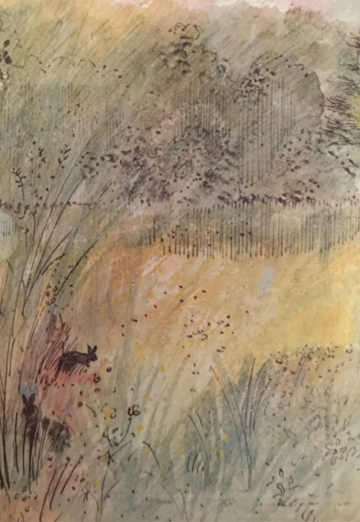 Watership Down - Richard Adams (Penguin / Kestrel - Hardcover) book collectible [Barcode 9780722651971] - Main Image 2