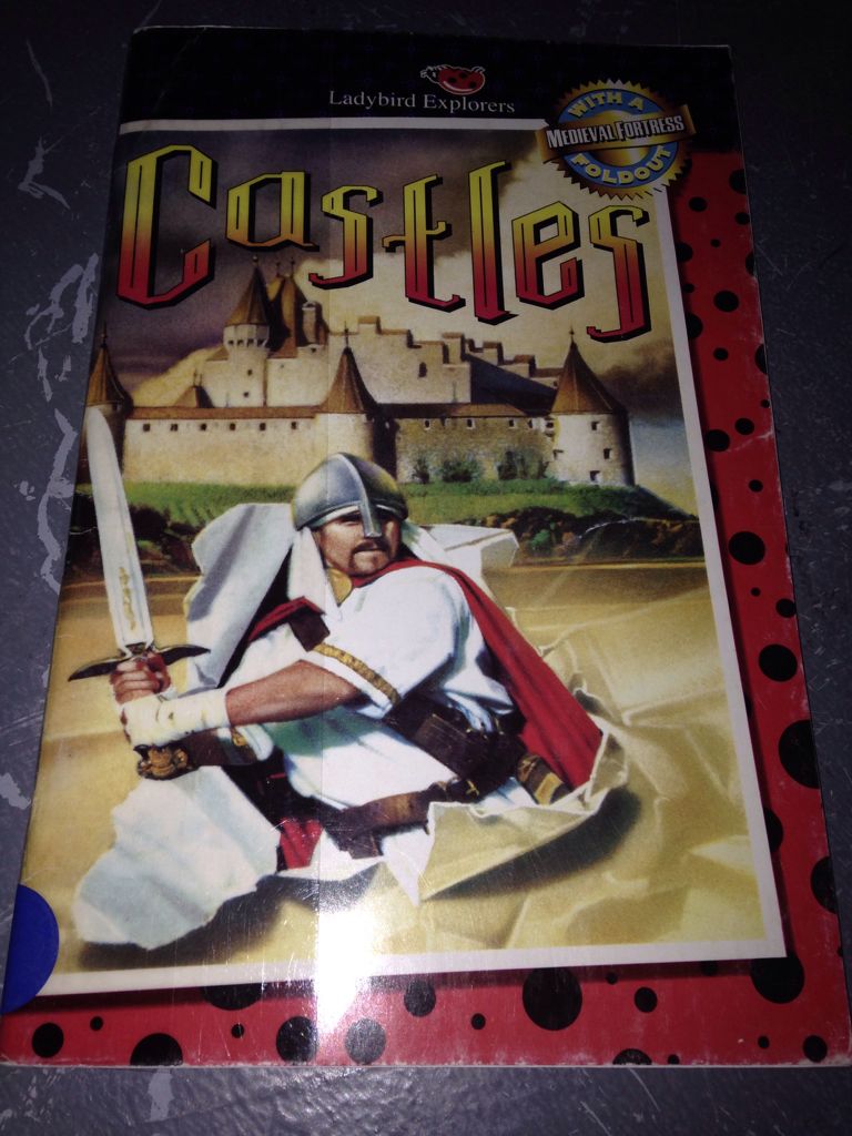 The Curious Incident of the Dog in the Night-Time