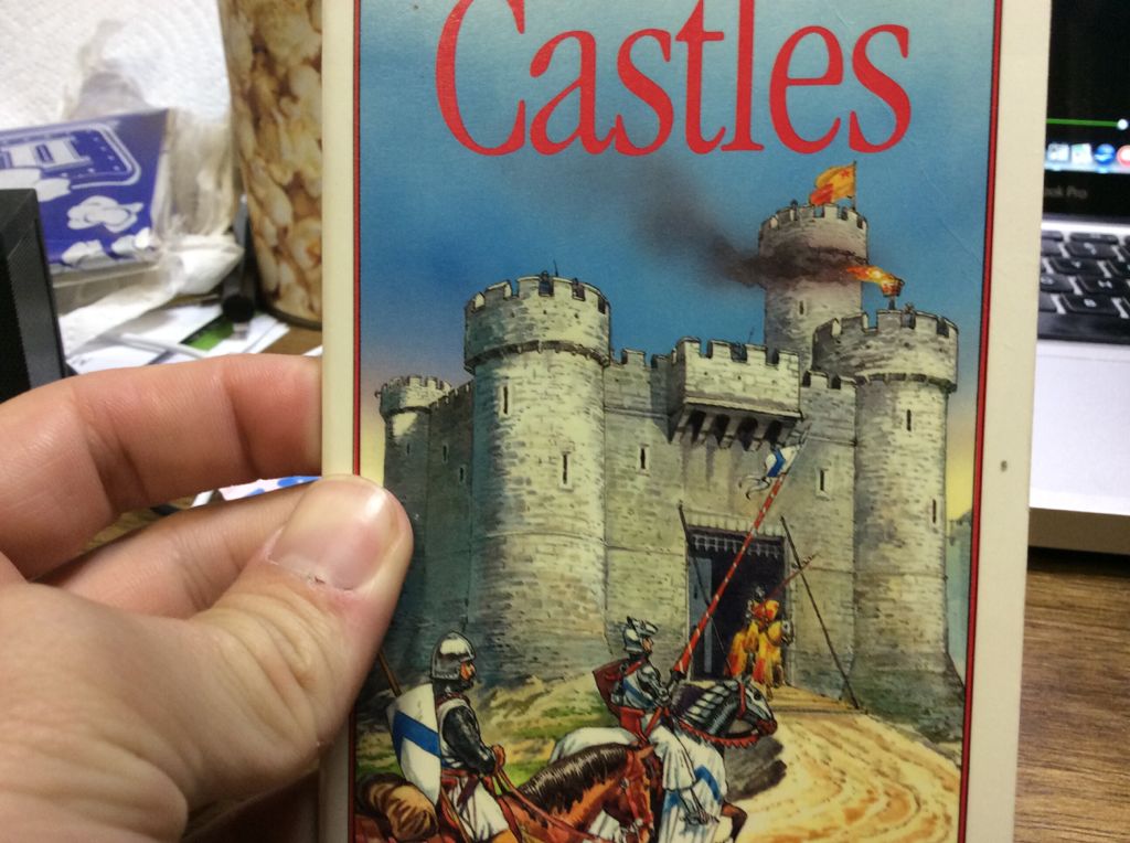 Curious Incident of the Dog in the Night-Time, The