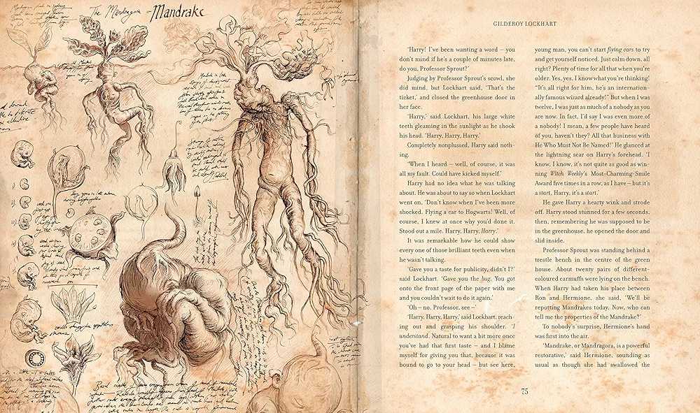 Harry Potter and the Chamber of Secrets - J.K. Rowling (Bloomsbury Publishing - Hardcover) book collectible - Main Image 3