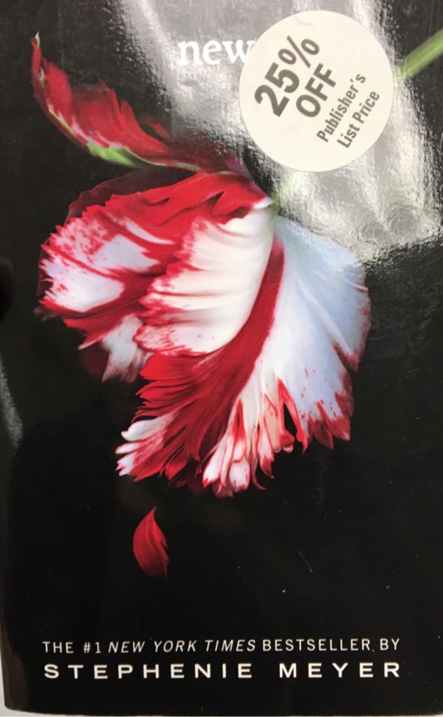 Kitchen Bright Dishcloths