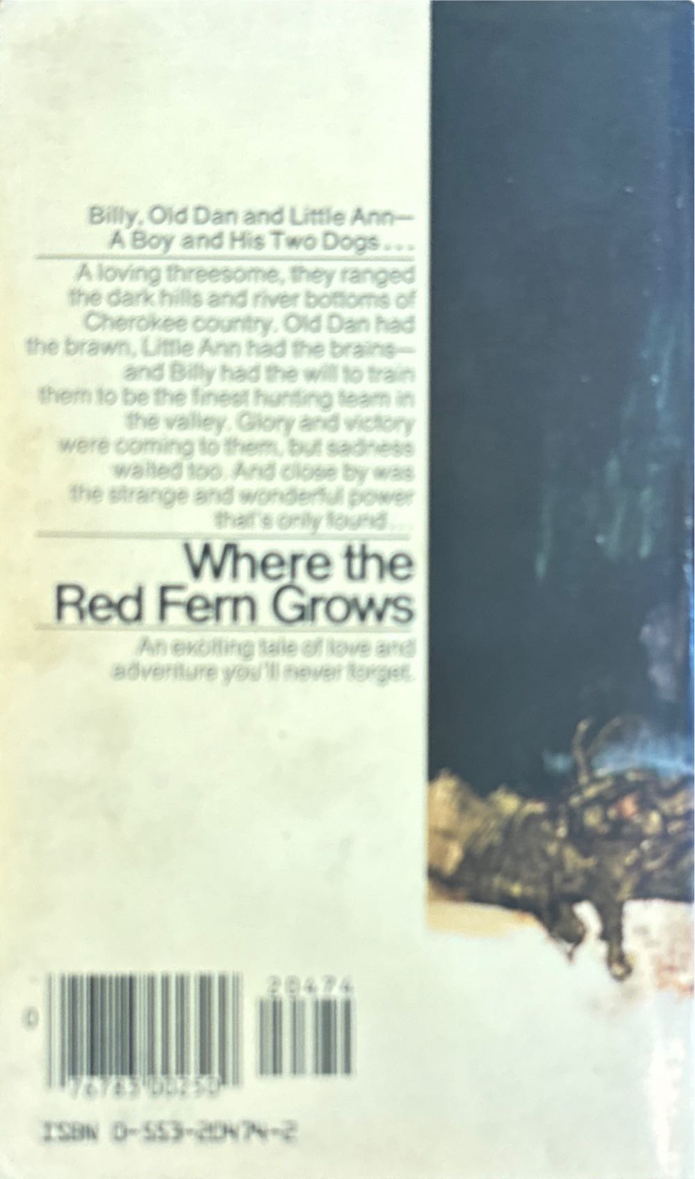 Where the Red Fern Grows - Wilson Rawls (Bantam Books - Paperback) book collectible [Barcode 9780553204742] - Main Image 2