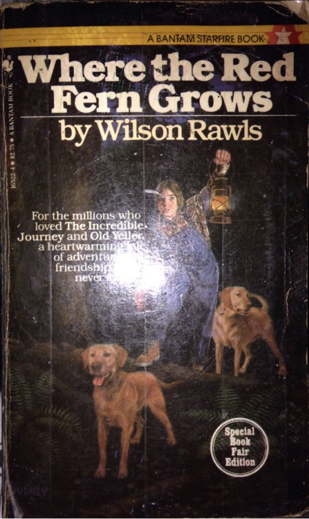 Harry Potter and the Order of the Phoenix