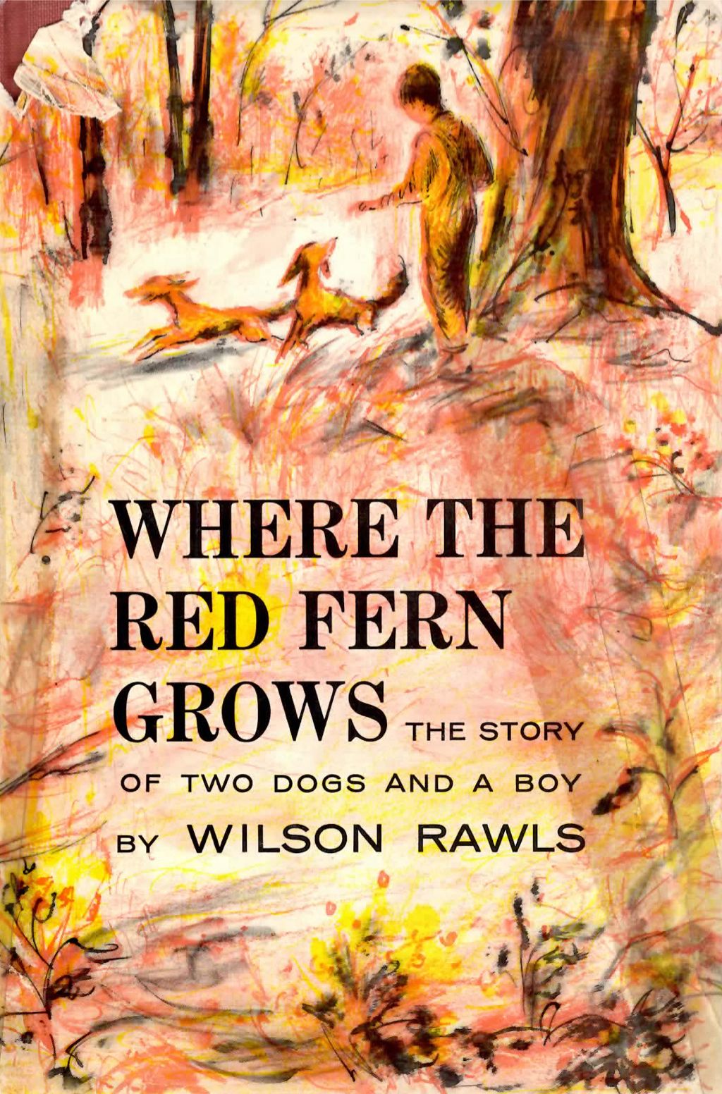 Where the Red Fern Grows - Wilson Rawls (Doubleday & Company - Hardcover) book collectible - Main Image 2