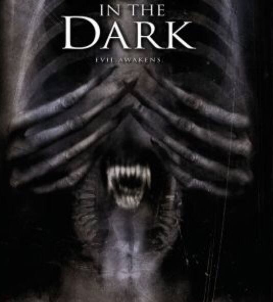 In the Dark (Flat) book collectible - Main Image 1