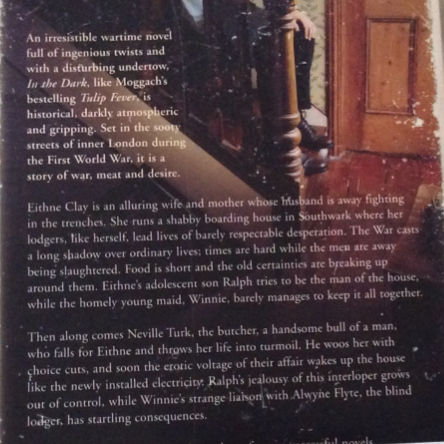 In the Dark (Flat) book collectible - Main Image 2