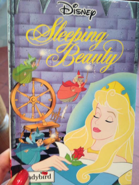 Secret Windows: Essays and Fiction on the Craft of Writing