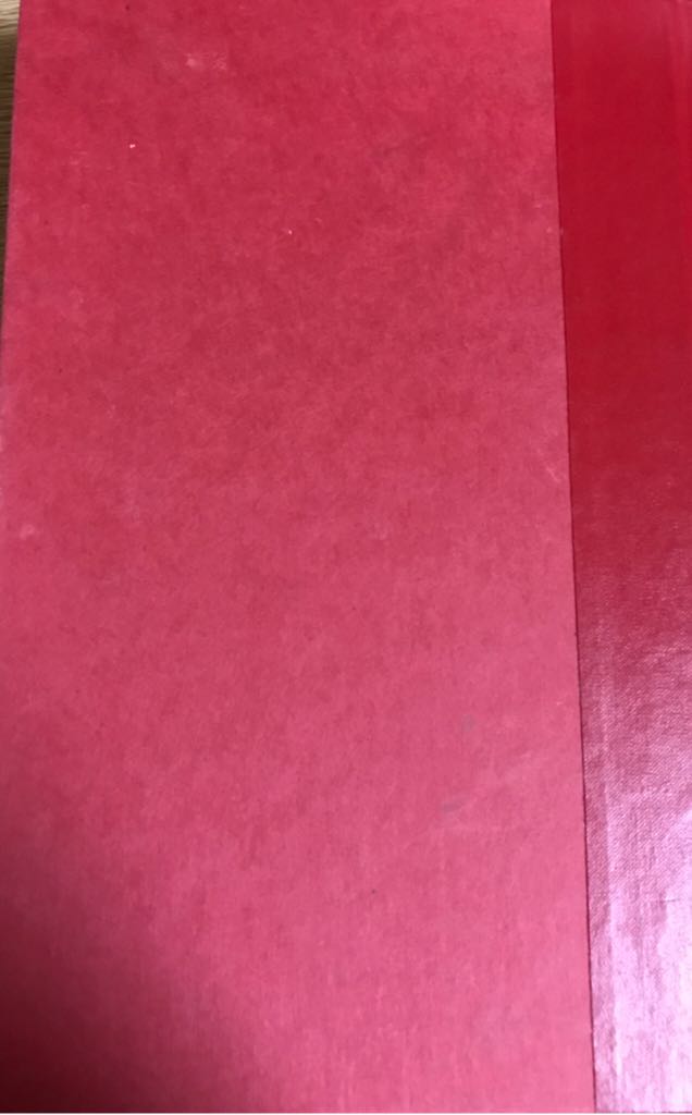 Remember book collectible - Main Image 2