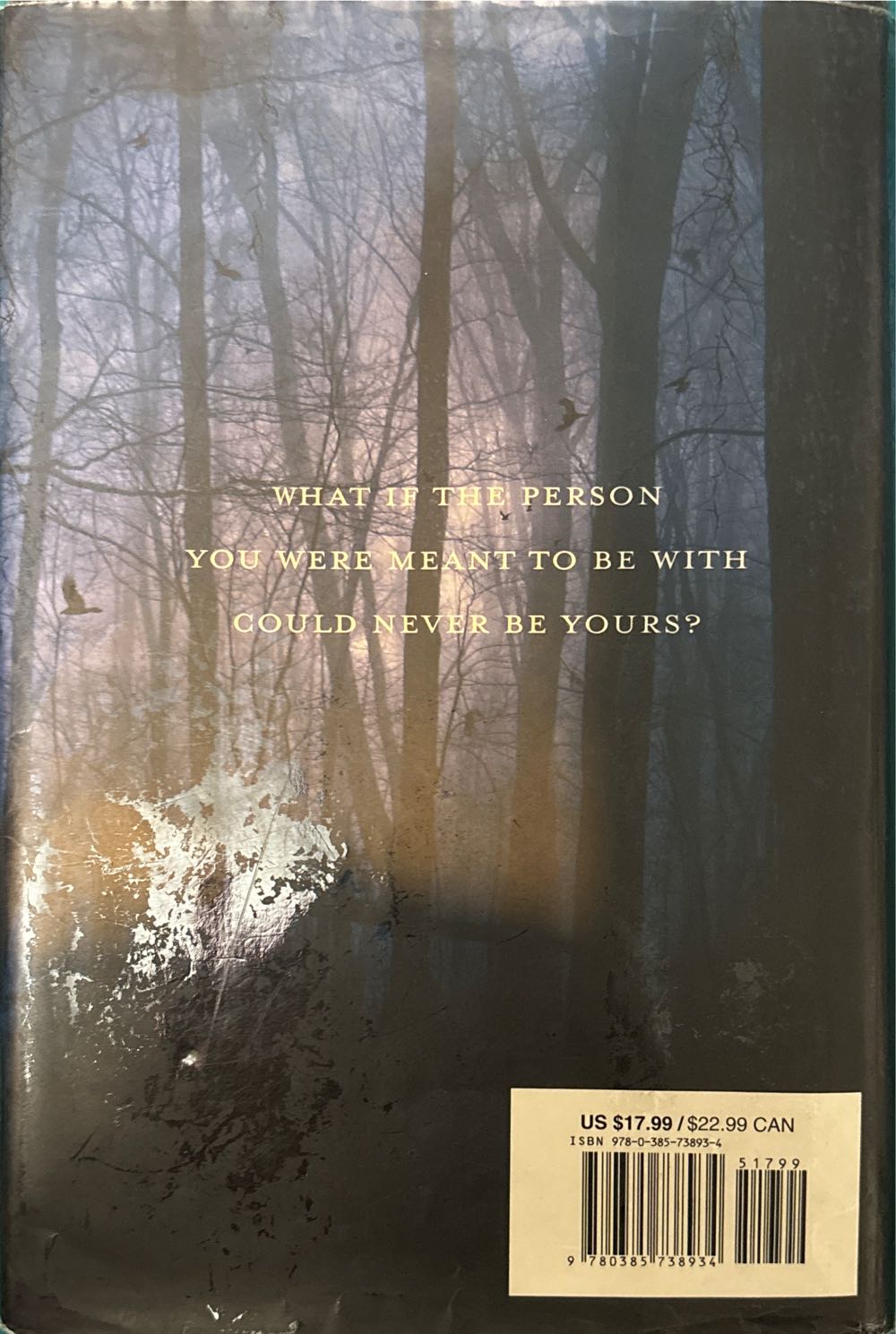 Fallen - 1 - Lauren Kate (Fantasy - Paperback) book collectible [Barcode 9780385618014] - Main Image 2