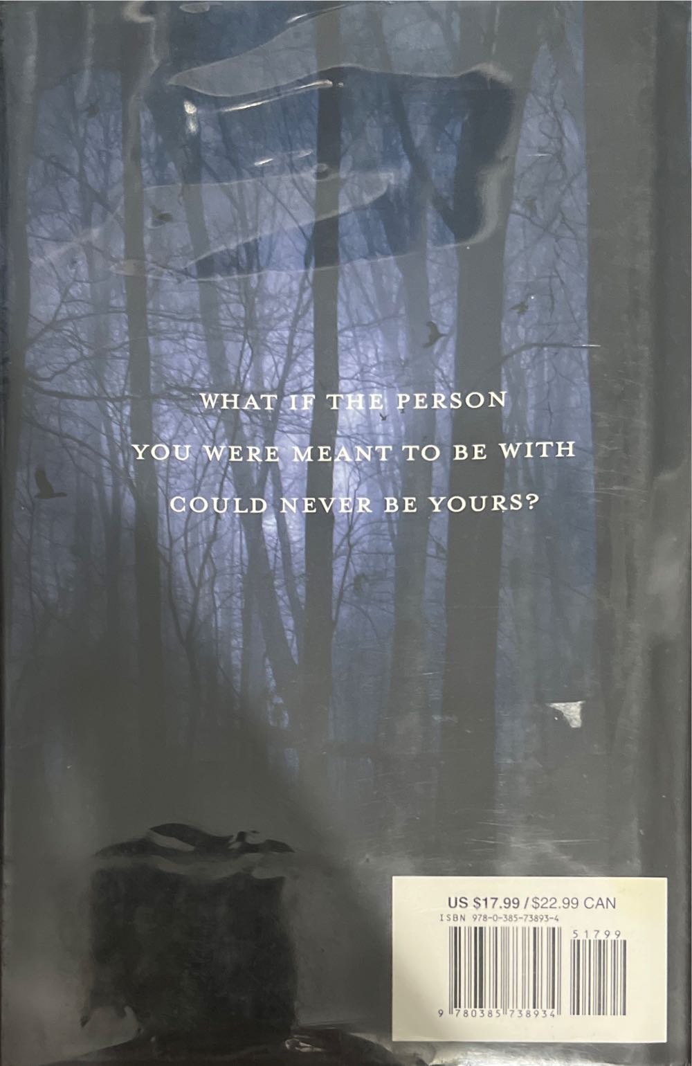 Fallen - Lauren Kate (Random House - Hardcover) book collectible [Barcode 9780385738934] - Main Image 3