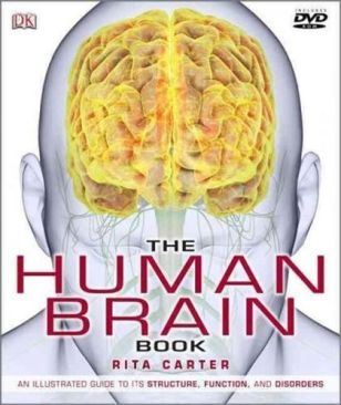 Human Brain Book Martyn PageNON-FICTION ENGLISH