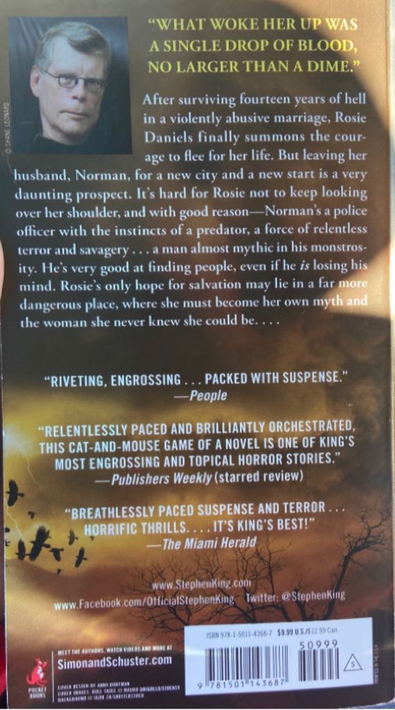 Rose Madder - Stephen King (Pocket Books - Paperback) book collectible [Barcode 9781501143687] - Main Image 2