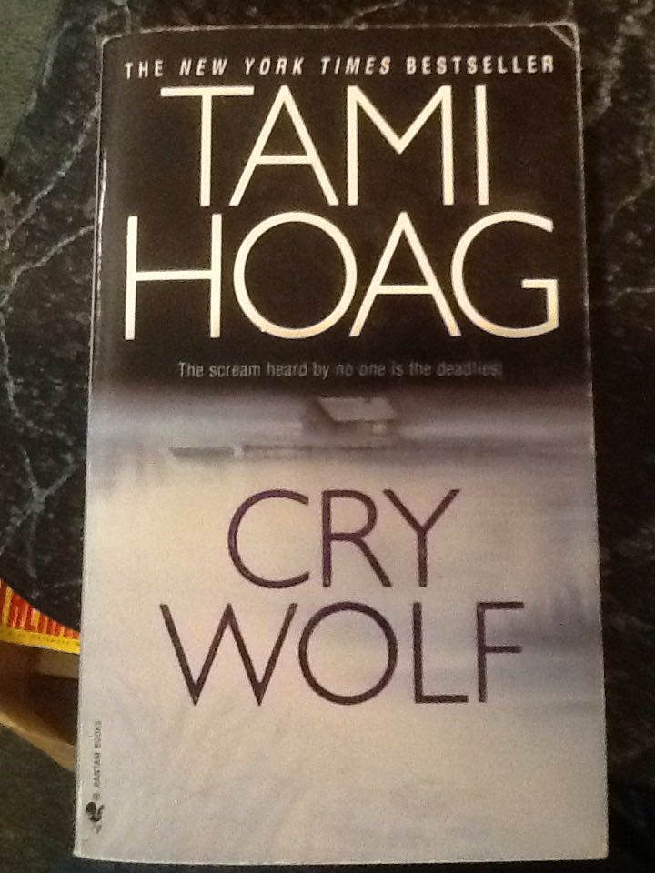 Nikki Heat: Storm Front