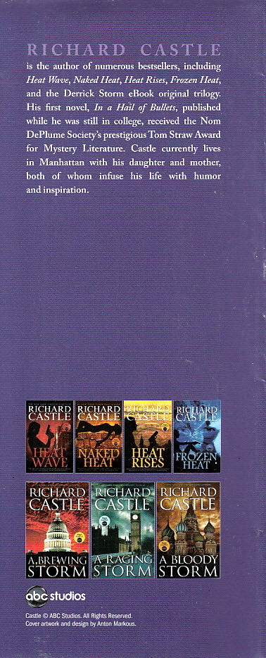 Storm Front - Richard Castle (Titan Books - Hardcover) book collectible [Barcode 9781781167892] - Main Image 3