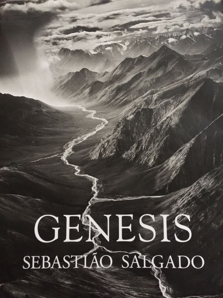 Time ParadoxThe New Psychology of Time That Will Change Your Life John Boyd, Philip ZimbardoNON-FICTION English