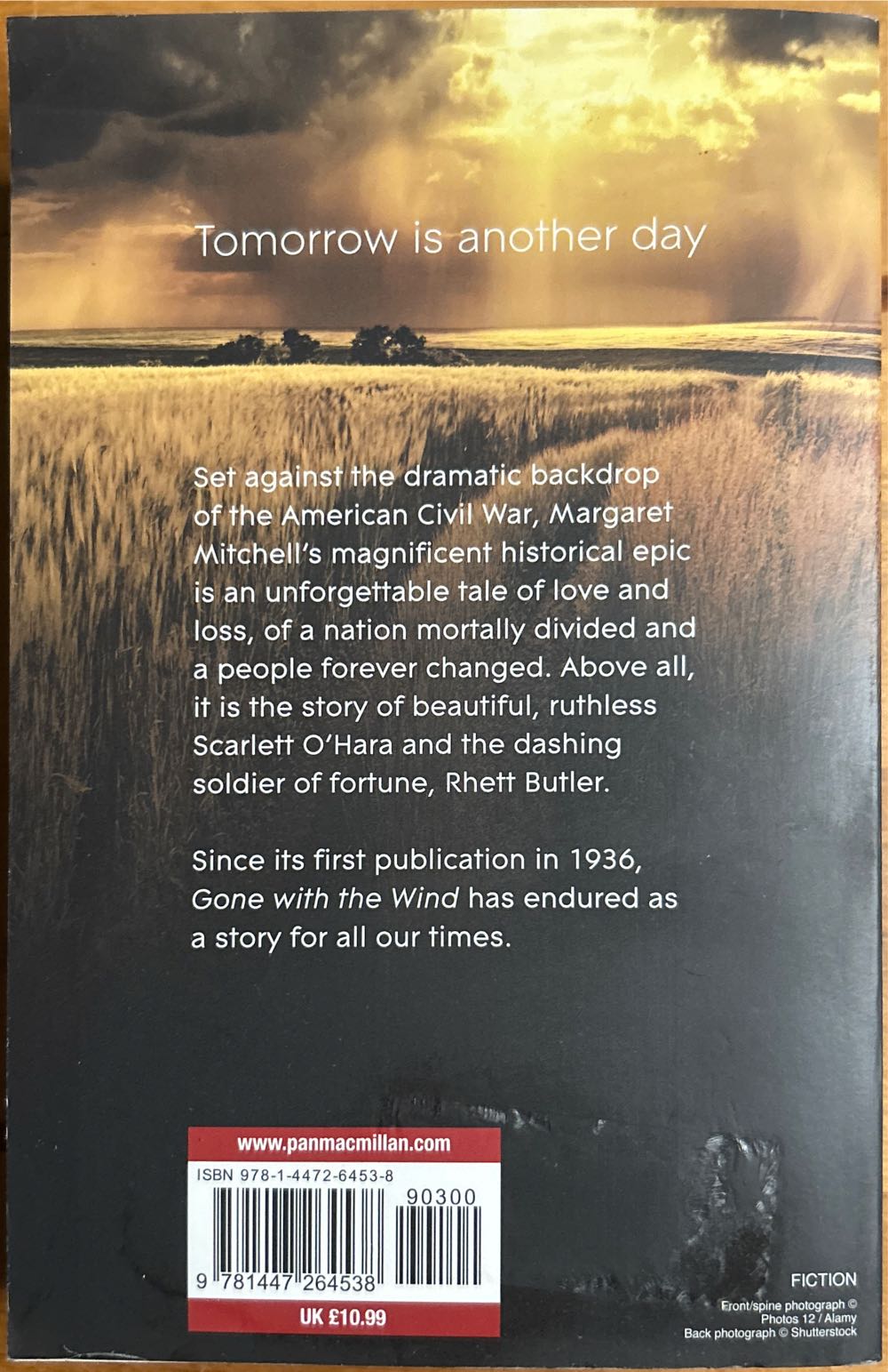 Gone With The Wind - Margaret Mitchell (Pan Books) book collectible [Barcode 9781447264538] - Main Image 2