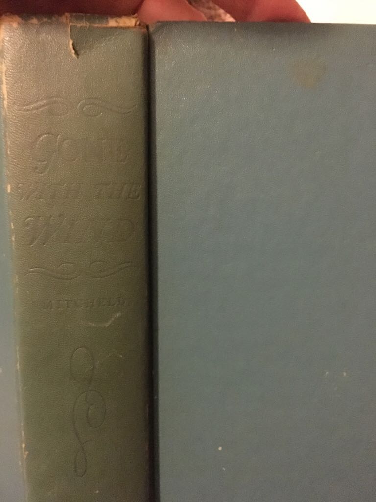 Dark Tower Vl: Song of Susannah