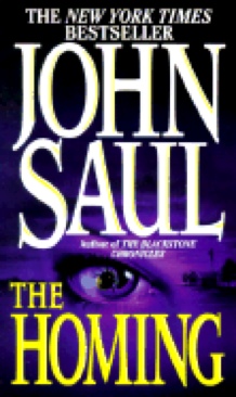 When the Game Was Ours