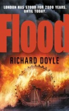 Flood - Vachss, Andrew (Random House UK) book collectible [Barcode 9780099429692] - Main Image 1