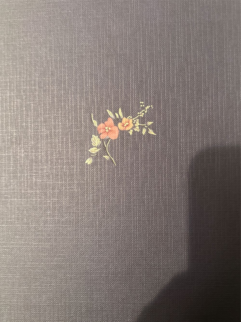 Jane Eyre - Charlotte Bronte (Books Should Be Free - Audiobook) book collectible - Main Image 2