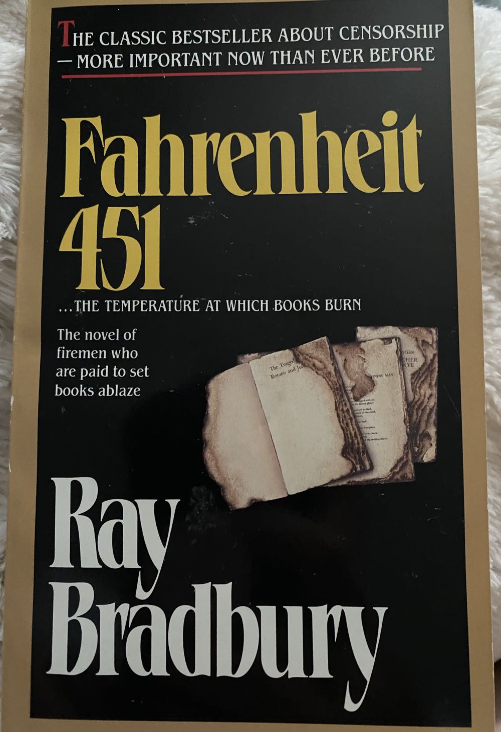 Fahrenheit 451 - Ray Bradbury (Del Ray Books - Paperback) book collectible [Barcode 9780345342966] - Main Image 4