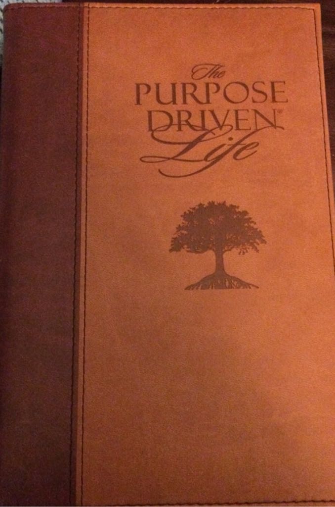 Toward An Exegetical Theology