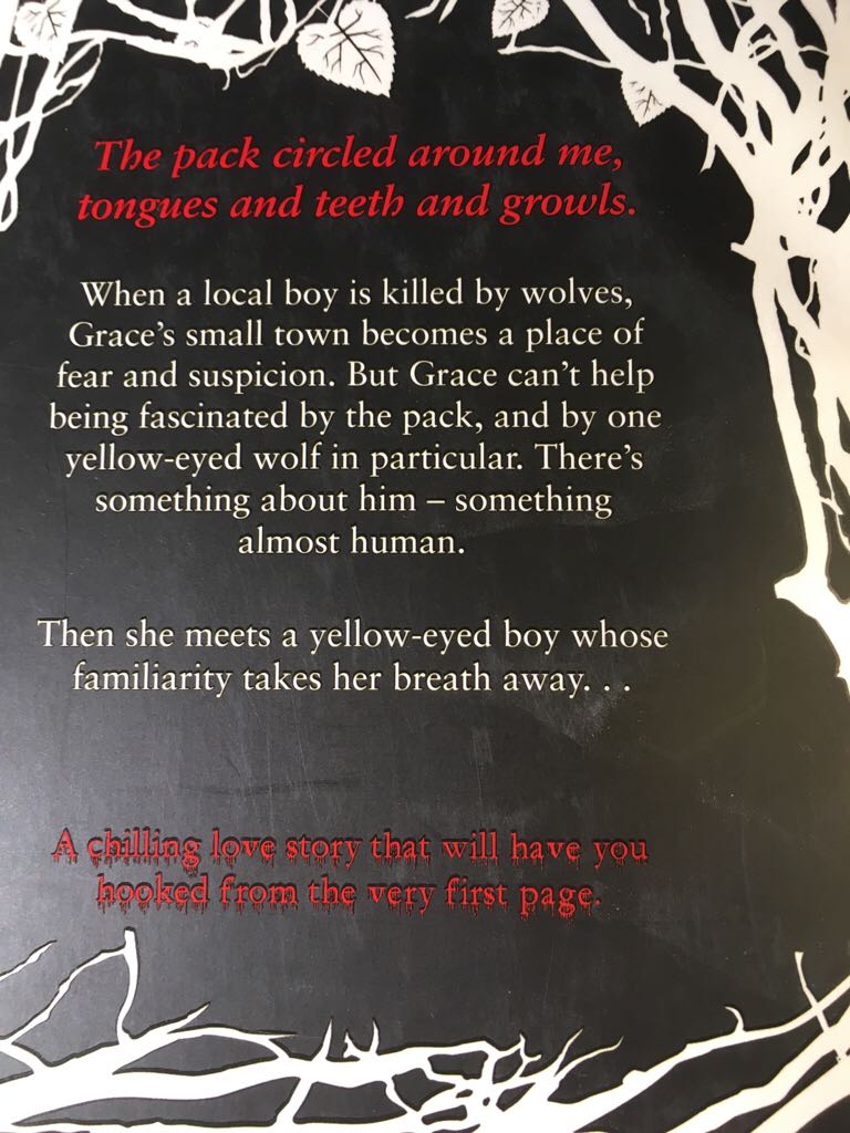 Shiver - Maggie Stiefvater (Scholastic - Paperback) book collectible [Barcode 9781407115009] - Main Image 2