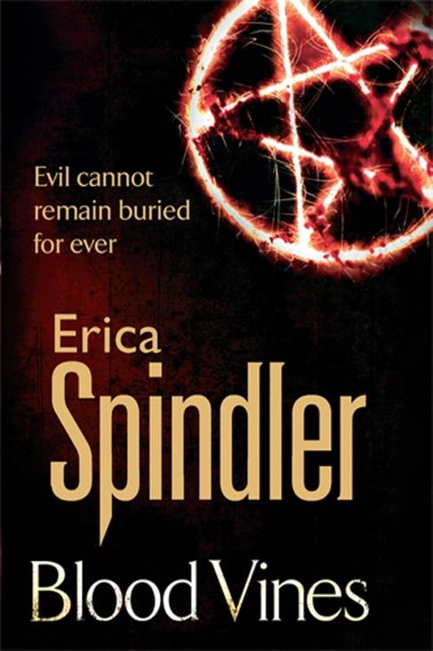 Adobe Photoshop Lightroom 2 -978-3-8273-2742-0 ()