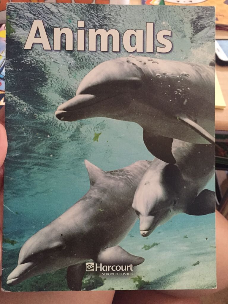 International Economics