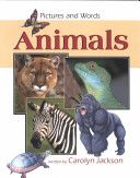 Dissociative Identity Disorder - Recognizing And Restoring The Severely Abused