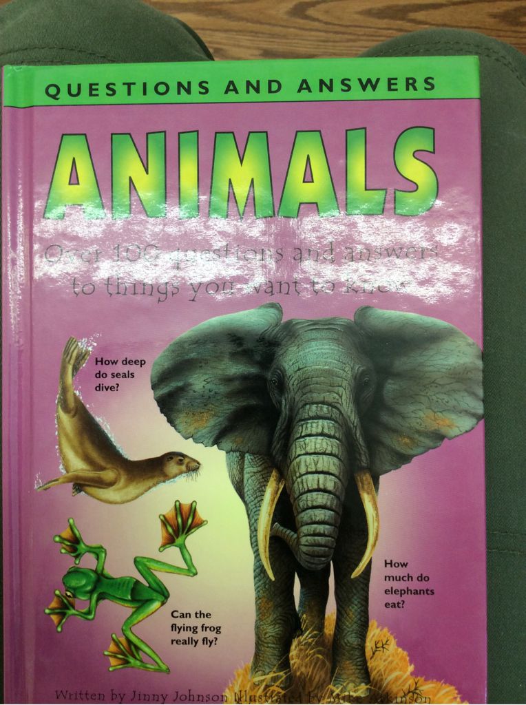 The Phantom of the Opera