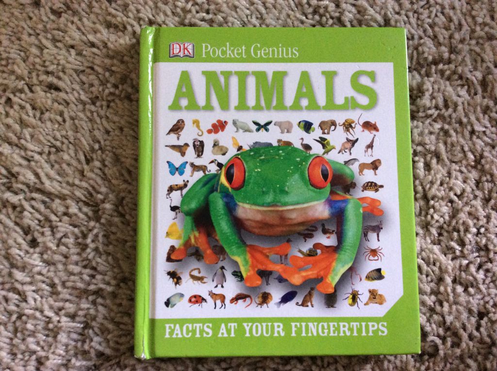 His Christmas Bride[eBook]