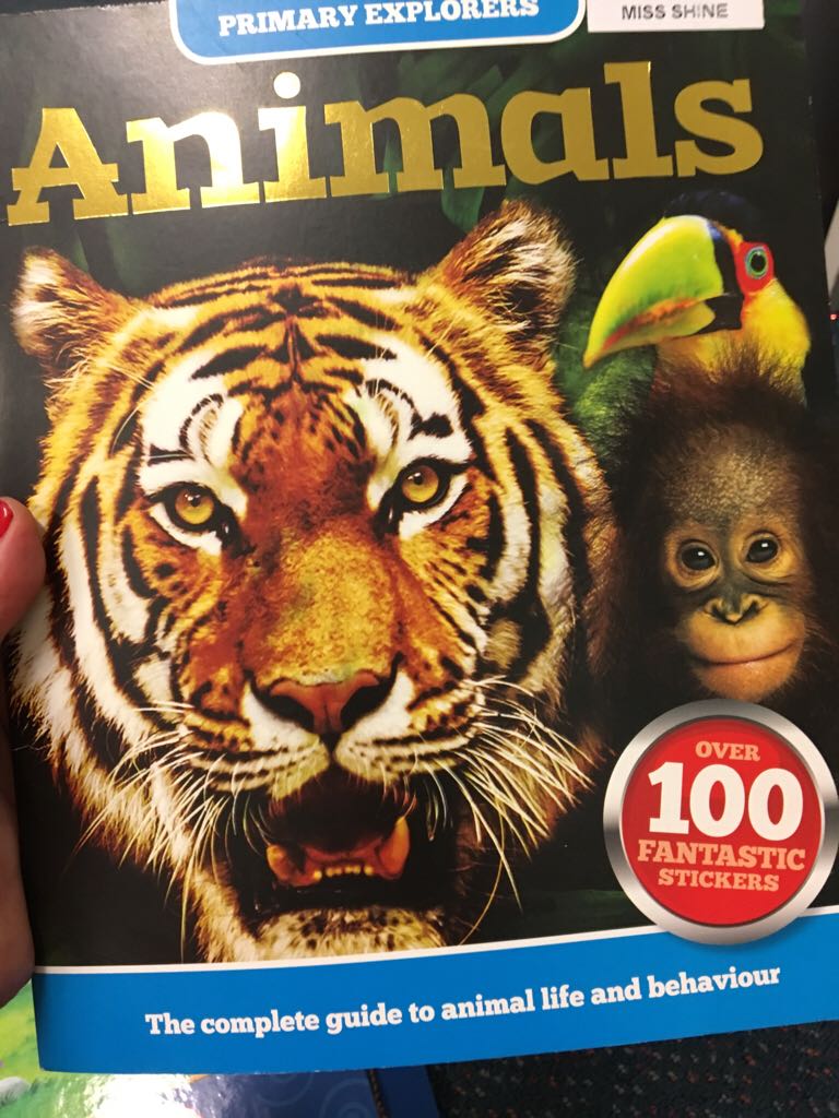 Secret Book of Grazia Dei Rossi-10: 0684816032-13: