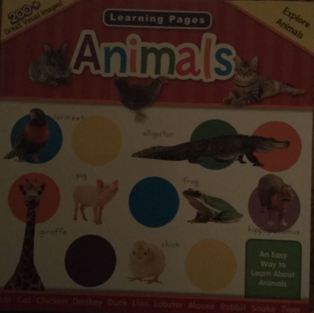 Rache auf leisen Pfoten