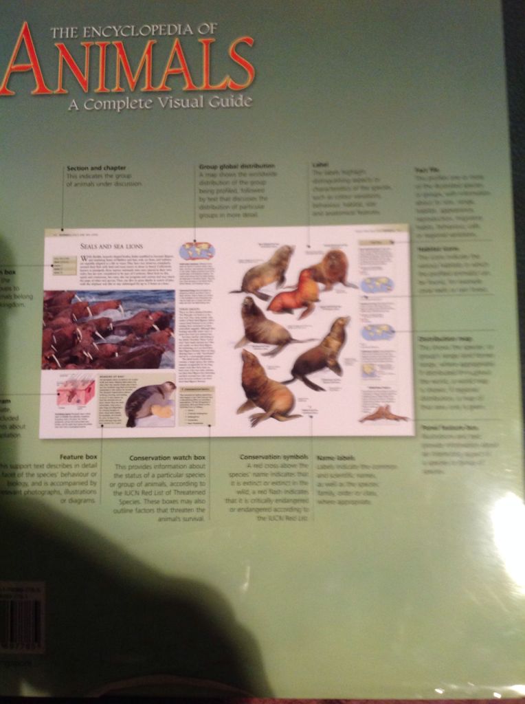 Animals - Cooke & Dingle book collectible [Barcode 9781740897785] - Main Image 2