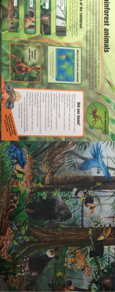 Animals: Lift-The-Flap Book - Garry Fleming (Five Mile Press - Hardcover) book collectible [Barcode 9781742485775] - Main Image 2