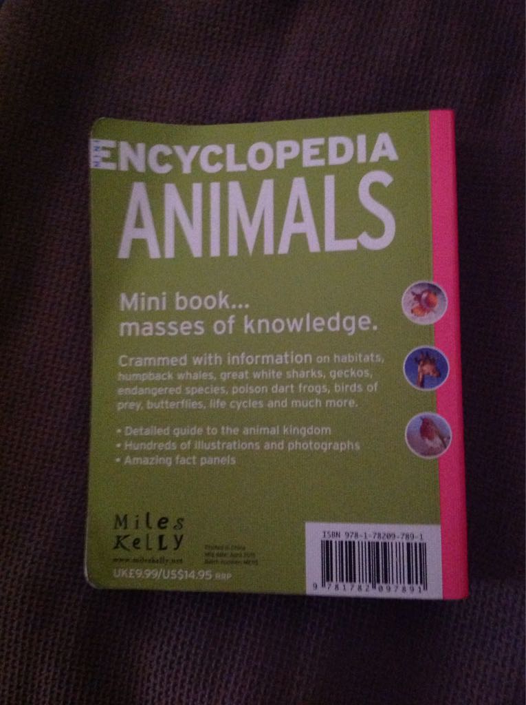 Mini Encyclopaedia: Animals - Jo Joof book collectible [Barcode 9781782097891] - Main Image 2