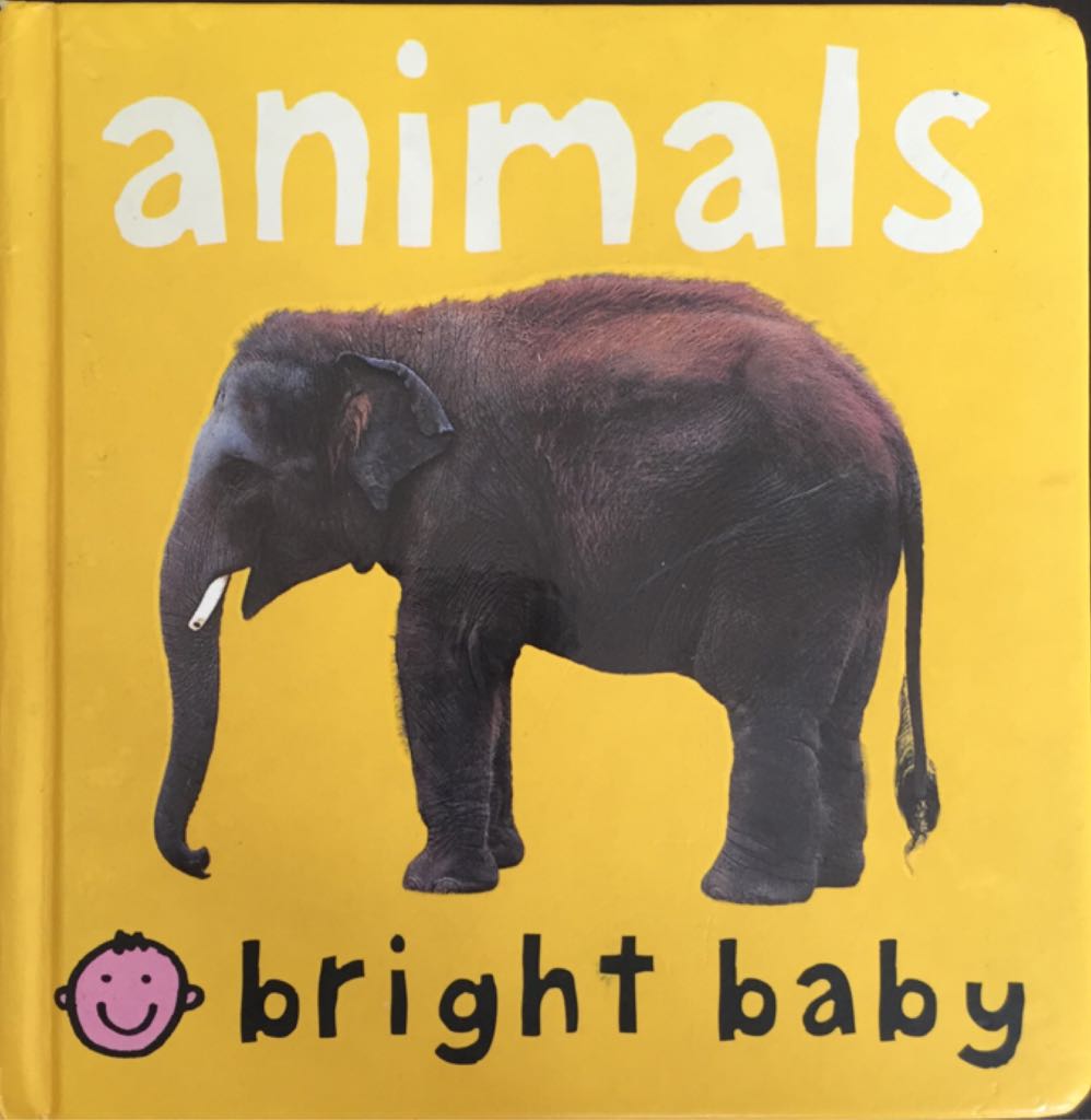 I pilastri della terra