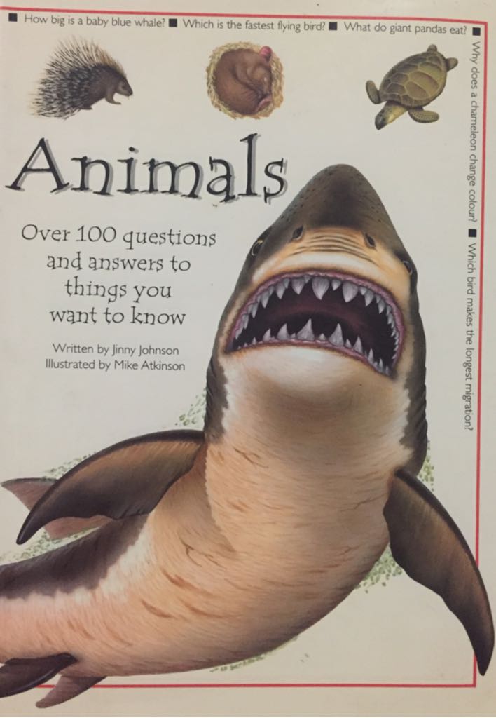 Image 3487048