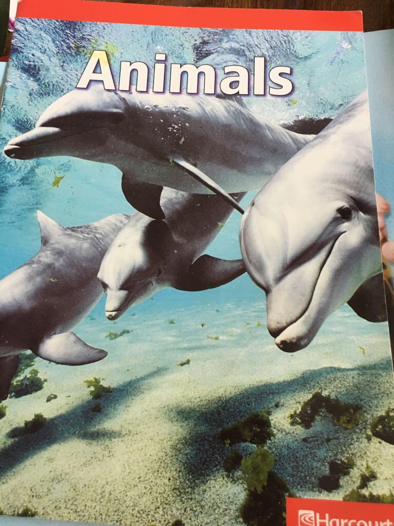 Sai tenere un segreto?