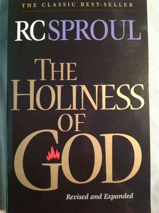 For the Sheikhs Pleasure[eBook]