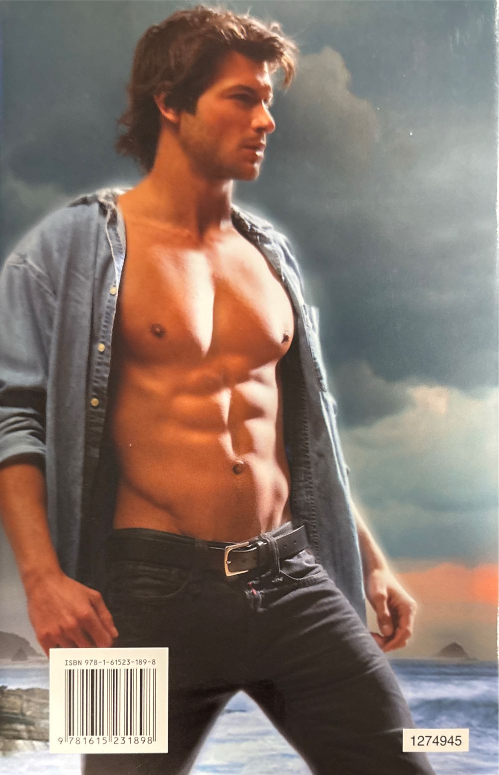 Hidden Currents - Christine Feehan (Jove Books - Hardcover) book collectible [Barcode 9781615231898] - Main Image 2